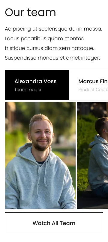 Мобільна версія - мобільний інтерфейс 5